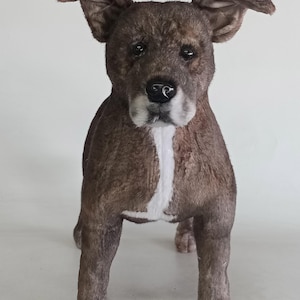 DragonMoss - Realistic Plush Dogs - Already Made - Not a Custom