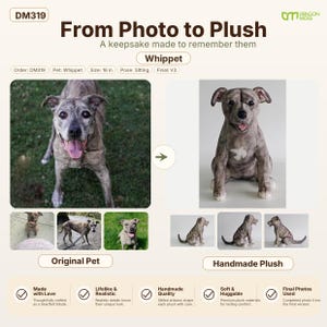 In Loving Memory – Custom Pet Memorial Plush image 19