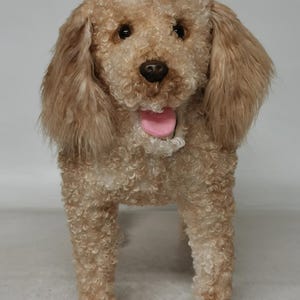 DragonMoss - Realistic Plush Dogs - Already Made - Not a Custom