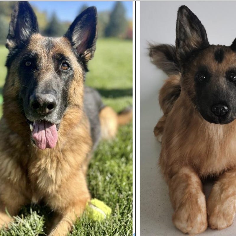 Realistic Stuffed Dogs - Etsy