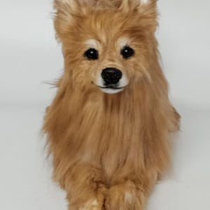 DragonMoss - Realistische Plüschhunde - Schwarze Paw Pads - Bereits Angefertigt - Kein Custom