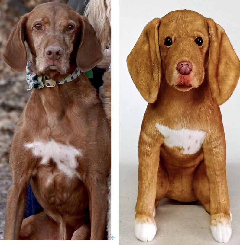 May include: A side-by-side comparison of a real dog and a stuffed animal dog. The real dog is brown with a white chest and a patterned collar. The stuffed animal dog is also brown with a white chest and white paws.
