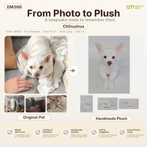 In Loving Memory – Custom Pet Memorial Plush image 20