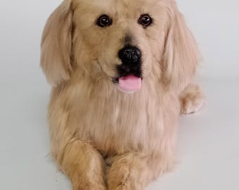 Peluche realista de Golden Retriever, perro de compañía, regalo para quienes han perdido una mascota, 40 cm (16 pulgadas)