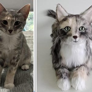 May include: A gray and white tabby cat with large ears and green eyes. The cat is sitting upright, with its front paws extended. The cat has a white chest and paws, and its fur is a mix of gray and white stripes.