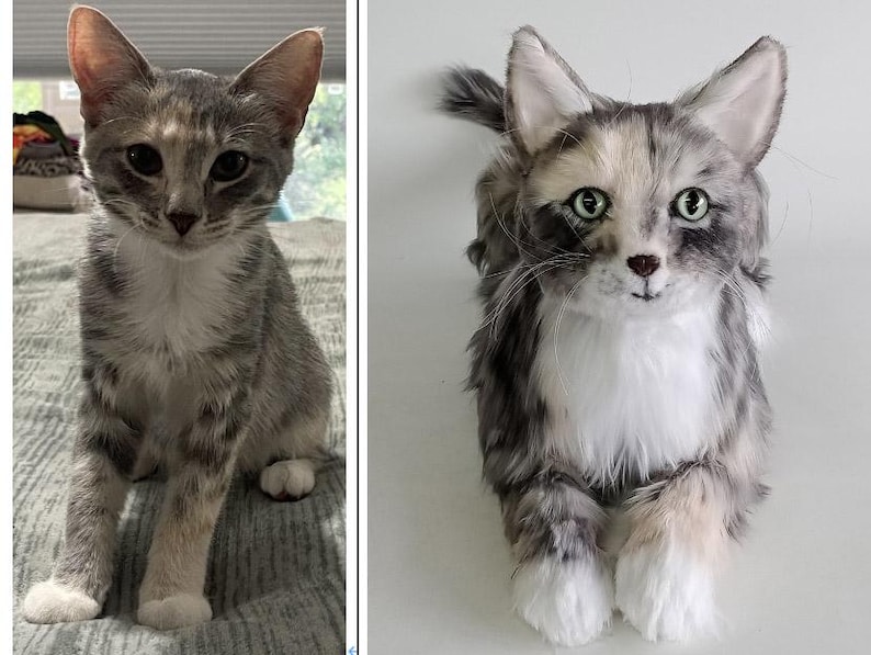 May include: A gray and white tabby cat with large ears and green eyes. The cat is sitting upright, with its front paws extended. The cat has a white chest and paws, and its fur is a mix of gray and white stripes.