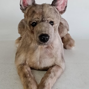 DragonMoss - Realistic Plush Dogs - Already Made - Not a Custom