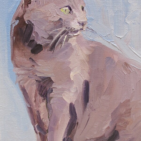 Gray Cat