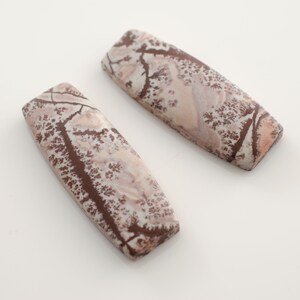 May include: Two rectangular, brown and white patterned, polished stones. The stones have a unique, dendritic pattern.