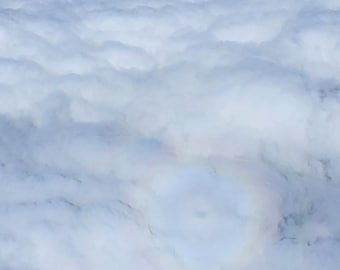 Sunscreen concentrate (premixed)