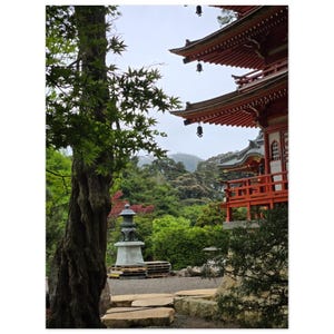 San Francisco Japanese Tea Garden, Tranquil Pagoda Forest Garden Landscape Photo Print (non archivistica), poster su carta semi-lucida