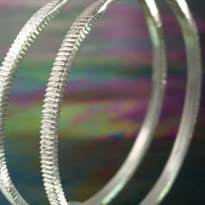 Hoop Earrings- Coin Edge