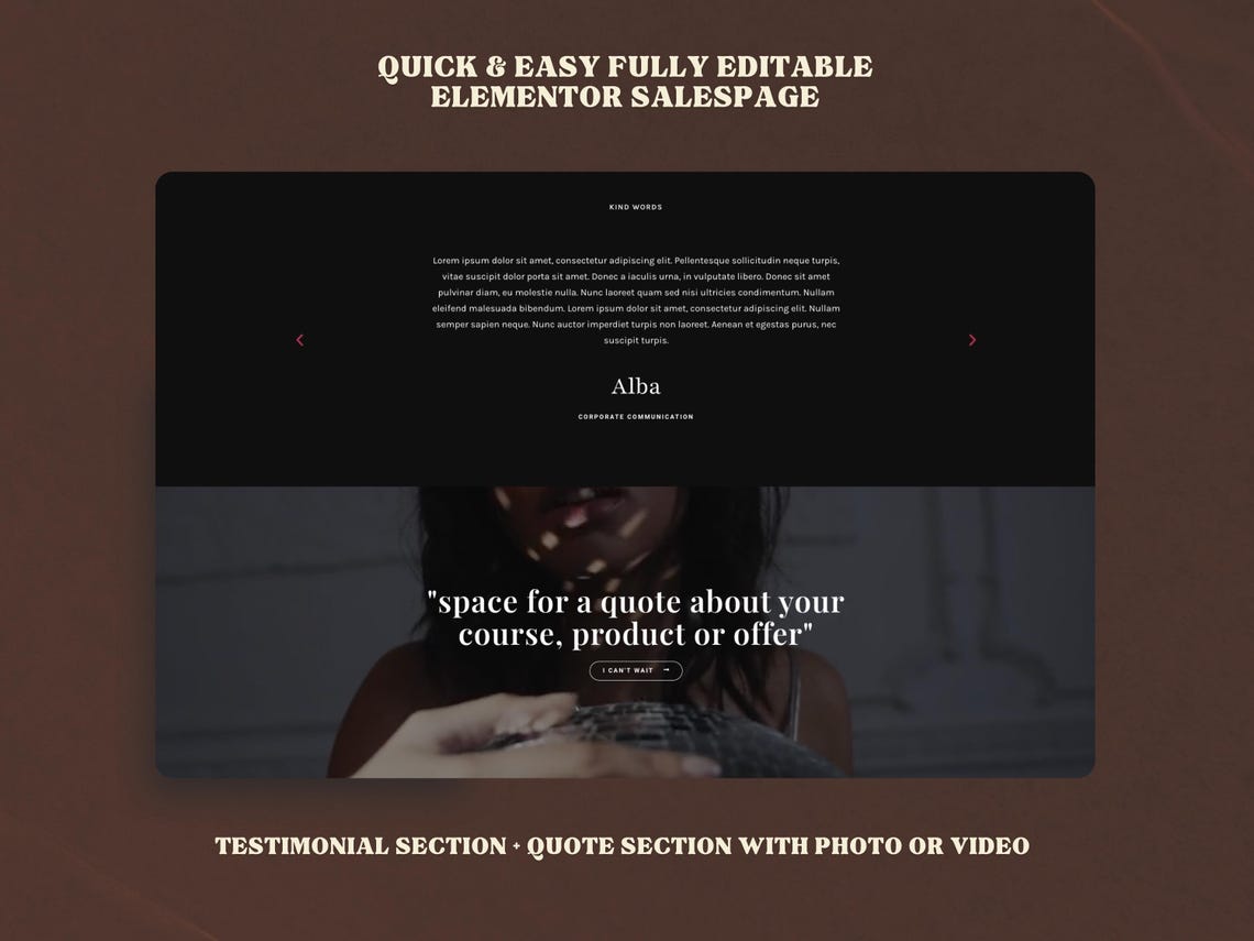 Sales Page Template for Elementor Pro Customizable Wordpress Landing