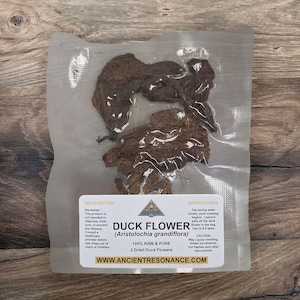 Wildcrafted Duck Flower | Aristolochia grandiflora | Detox Tea | Herbal Tea | Organic Herbs | Detox