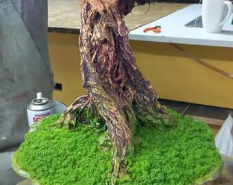 Sycamore Tree Bonsai in Ceramic Pot - Etsy