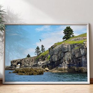 Seagull Print Maine Coastal Wall Art Cliffs Landscape Fine Art Photography Print Nautical Wall Art for Beach House Decor Nature Gift