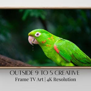 Pode incluir: Impressão emoldurada de um papagaio verde vibrante com detalhes em vermelho, pousado em um galho contra um fundo verde desfocado. A moldura é de madeira clara. O texto na parte inferior diz "OUTSIDE 9 TO 5 CREATIVE Frame TV Art | 4K Resolution."