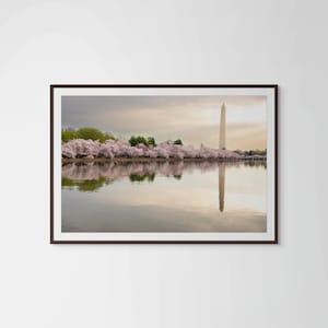 桜の写真 ワシントン DC タイダルベイスン 春のプリント ファインアート 風景 壁飾り 記念碑 反射アート