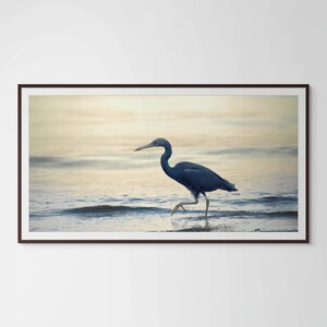 Stampa artistica costiera "Airone azzurro all'alba" - Fotografia naturalistica della spiaggia della Thailandia, arte murale naturalistica, decorazione con uccelli oceanici per la casa o l'ufficio
