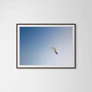 Stampa artistica minimalista di uccelli in volo, arte murale costiera, stampa di natura e cielo, decorazione per casa sulla spiaggia, foto di uccelli dell'oceano
