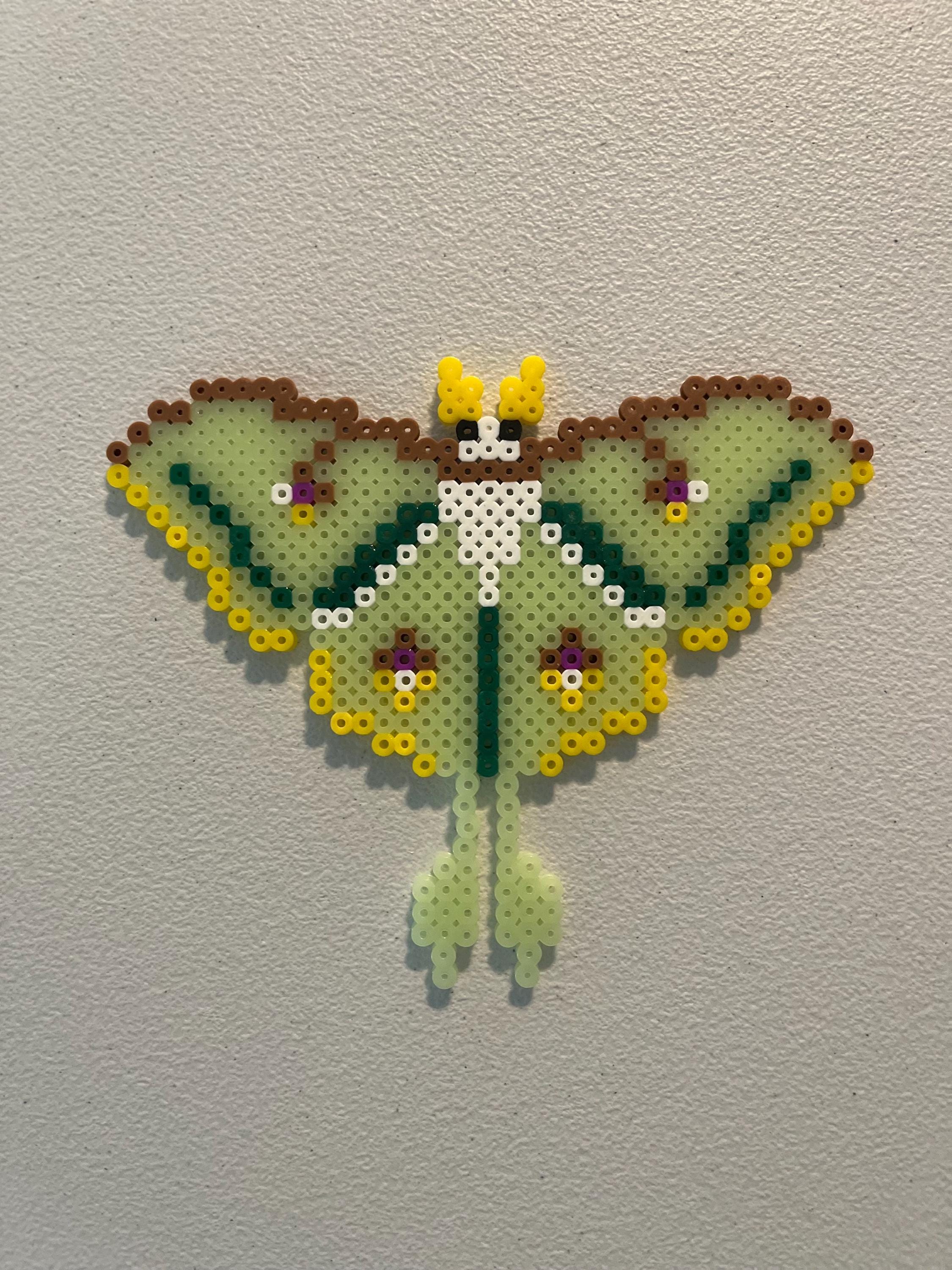 Moth Perler Bead