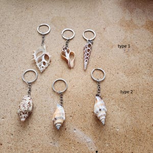 May include: Six different types of seashell keychains.  The keychains are made of natural seashells and are attached to silver key rings.  The seashells are a variety of shapes and sizes.  The keychains are labeled "type 1" and "type 2".