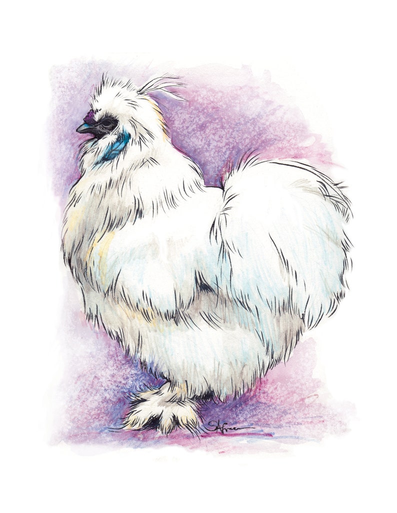 brush pen sketch watercolor Silkie Chicken art