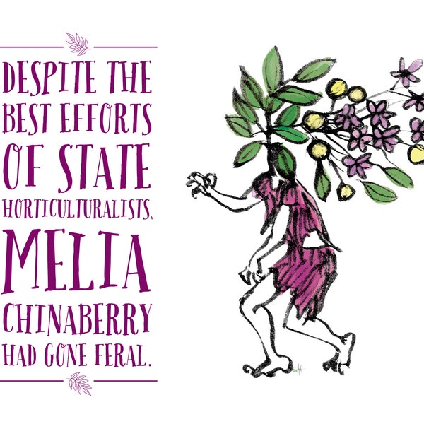 Feral Chinaberry--weird botanical art, goth art, fruit artwork, plant humor