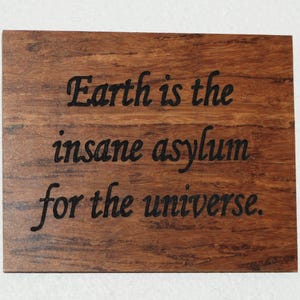 Earth is the insane asylum for the universe. - Carved, hand painted plaque - 15109