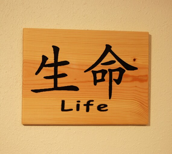 Life and the Chinese Symbol for Life Hand Painted Wooden Plaque 10181 -  Etsy Ireland