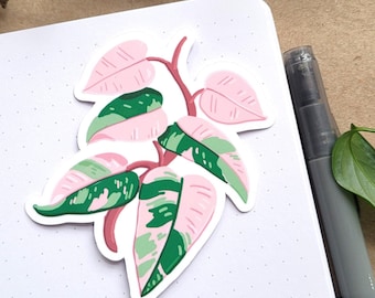Philodendron Pink Princess Sticker: Plant Lover Gift