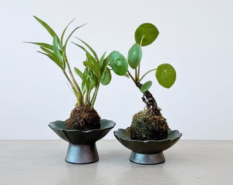 Ikebanavas: Japansk lotusskål i keramik för kokedama, mossboll, zen wabi sabi-dekor och minimalistiskt blomsterarrangemang, valfri nålgroda