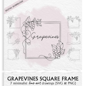 May include: Digital download featuring seven minimalist line-art drawings of grapevines in square frames. The image includes the word "Grapevines" in cursive script. The text "GRAPEVINES SQUARE FRAME" is also present.