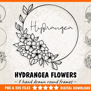 May include: Set of seven black and white hand-drawn round frames featuring hydrangea flowers. The frames are perfect for adding a touch of floral elegance to your designs.