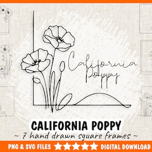 May include: Seven black and white hand-drawn square frames featuring California poppies. The frames are perfect for adding a touch of nature to your designs.