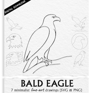 Bald Eagle SVG & PNG Bundle – 7 Minimalist Bald Eagle Hand-Drawn Line Art Bird Drawings – Digital Download for Print and Crafts.