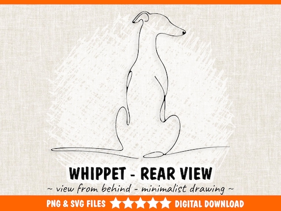 Whippet Dog Sitting View From Back - Whippet Greyhound PNG & SVG Minimalist Personalized Wall Art, Line Drawing -  Digital Download Print