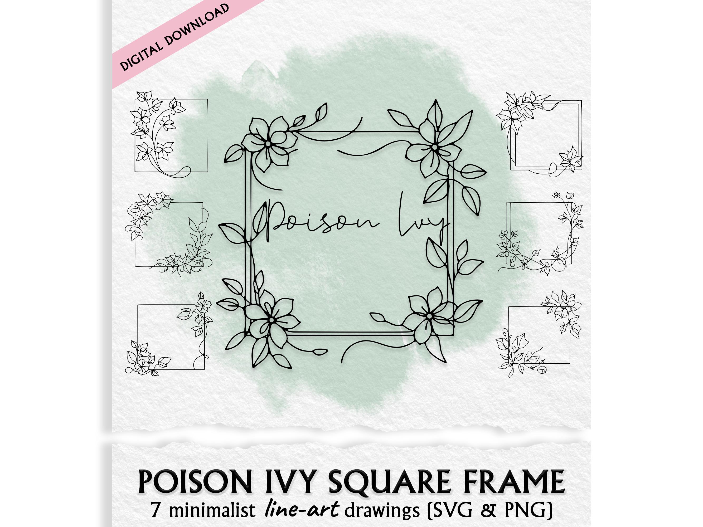Poison Frame Poison Ivy Square Wreath – 7 Hand Drawn Poison Ivy Rectangle Frames SVG ...