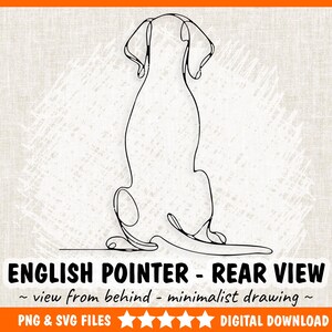 May include: A minimalist black line drawing of an English Pointer dog, viewed from the rear. The image includes the text "ENGLISH POINTER - REAR VIEW ~ view from behind - minimalist drawing ~ PNG & SVG FILES DIGITAL DOWNLOAD". The dog is sitting.