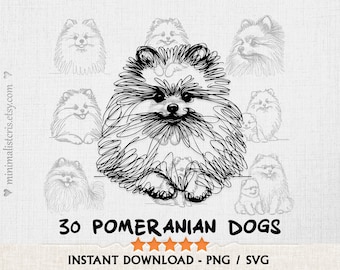 ポメラニアン犬のSVGとPNGバンドル - ミニマリストスケッチ線画