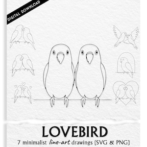 Lovebird Parrot SVG & PNG Bundle – 7 Minimalist Lovebird Hand Drawn Line Art Drawings – Digital Download for Print, Crafts, and Gifts.