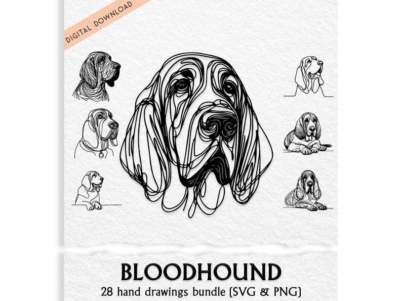 Bloodhound Dog Line Art SVG & PNG Bundle (commercial Use) - Etsy