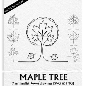 Pode incluir: Download digital em preto e branco com sete desenhos minimalistas de árvores de bordo desenhados à mão. A imagem inclui ilustrações de árvores e folhas, com o texto "MAPLE TREE" e "DIGITAL DOWNLOAD".