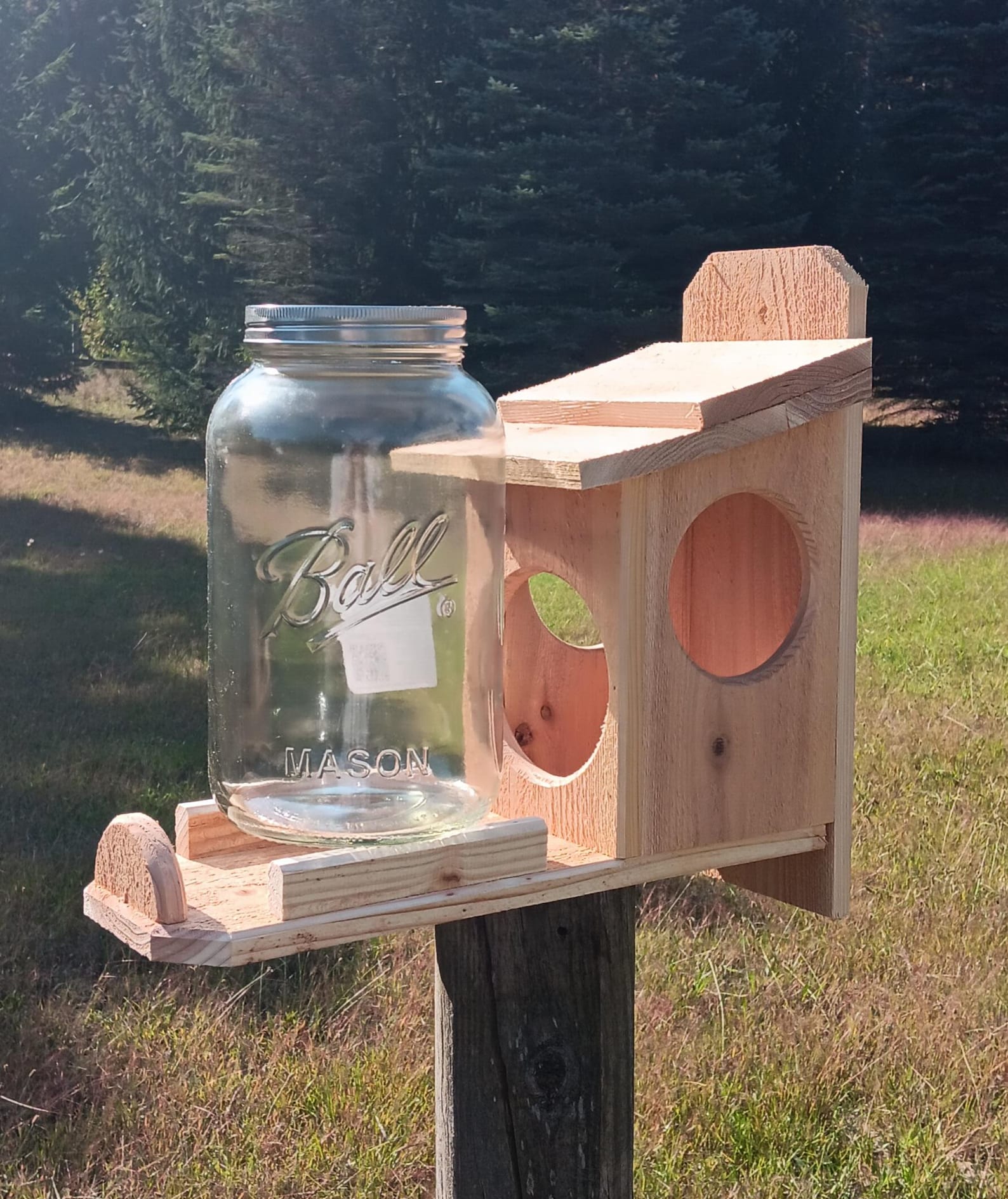 Cedar Squirrel Feeder (with Jar) - Etsy