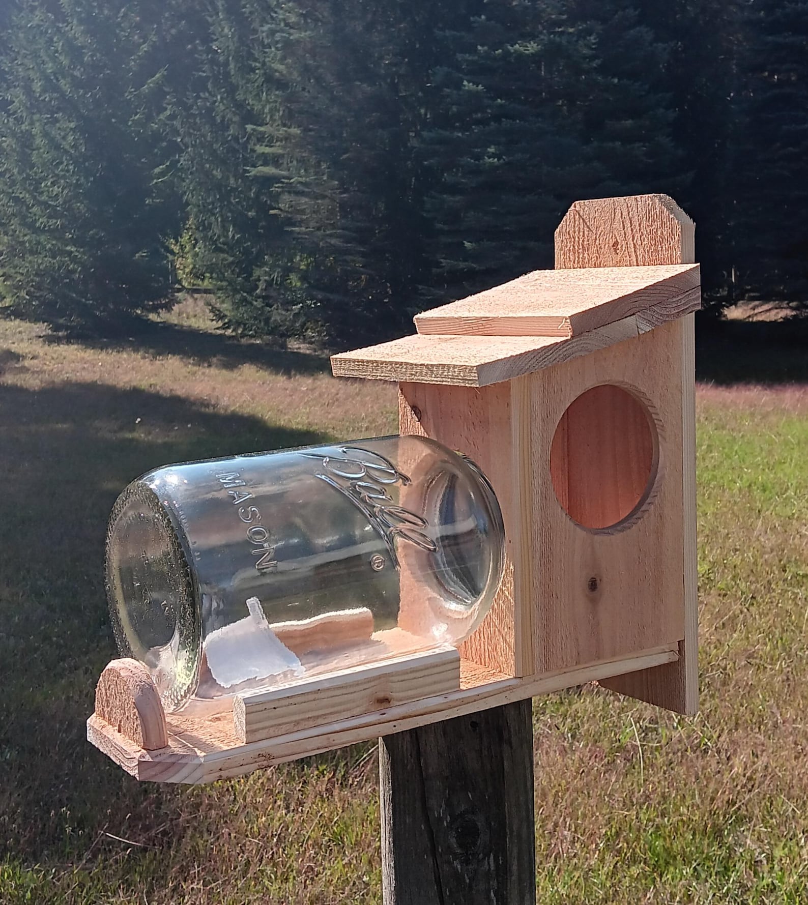 Cedar Squirrel Feeder (with Jar) - Etsy