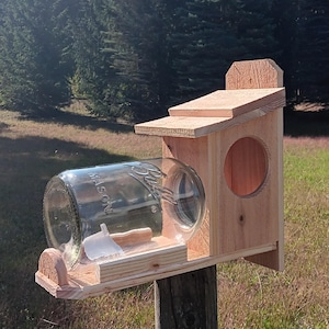 Cedar Squirrel Feeder (with jar)