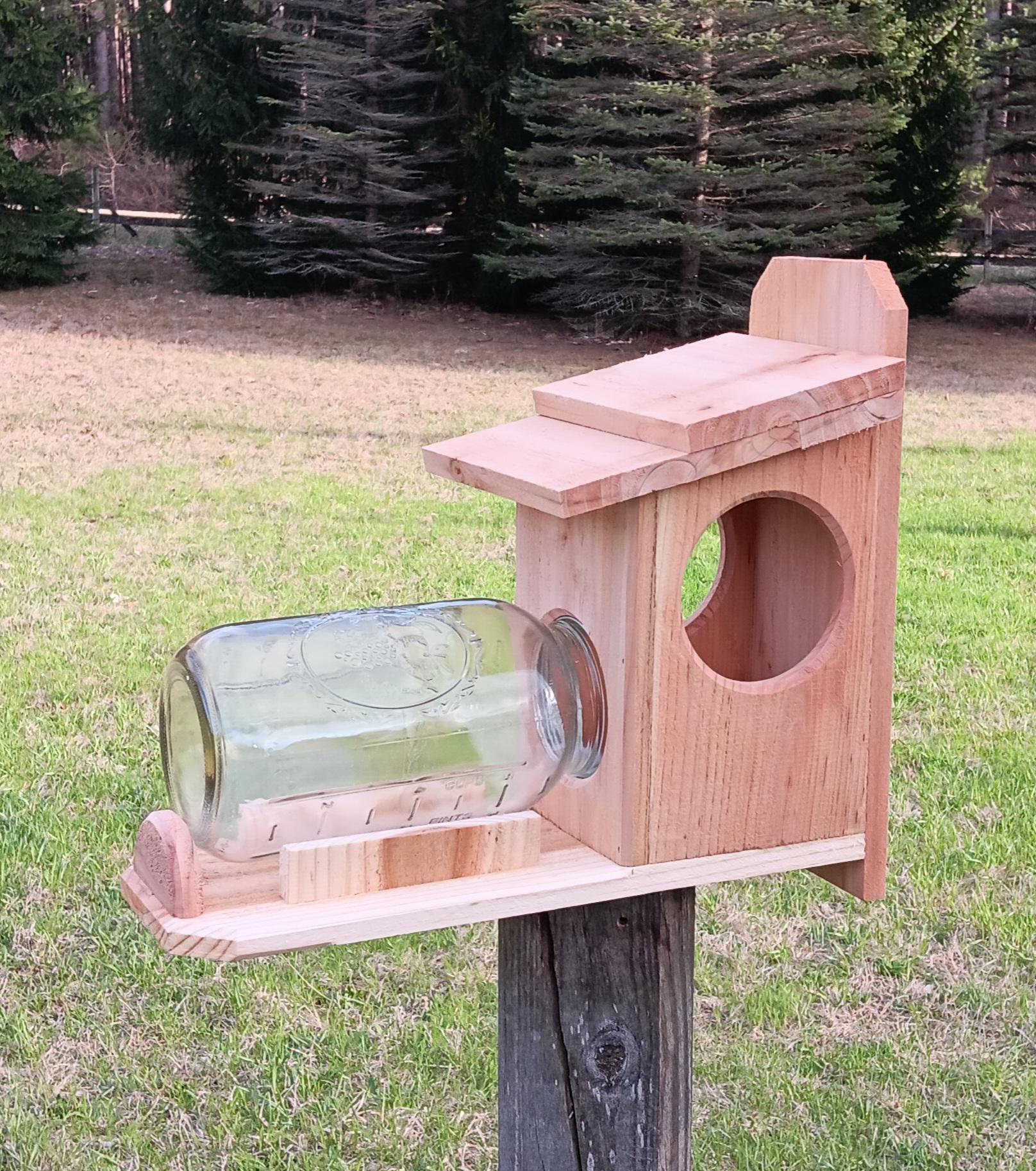 Cedar Squirrel Feeder (with Jar) - Etsy