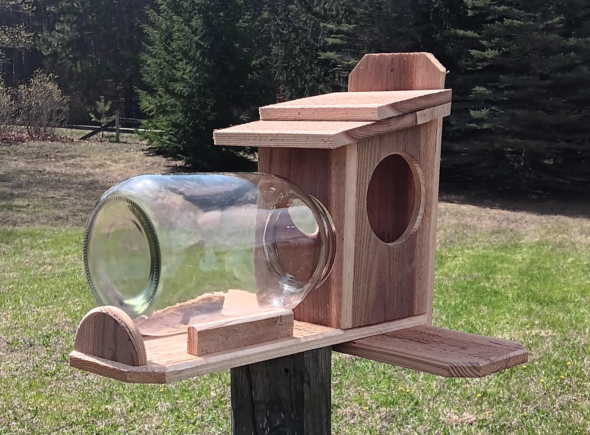 Cedar Squirrel Feeder (with Jar) - Etsy