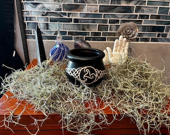 Organic Live Spanish moss