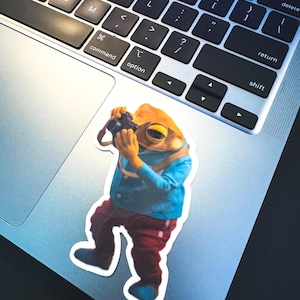 Bad Bunny Debí Tirar Más Fotos Stickers
